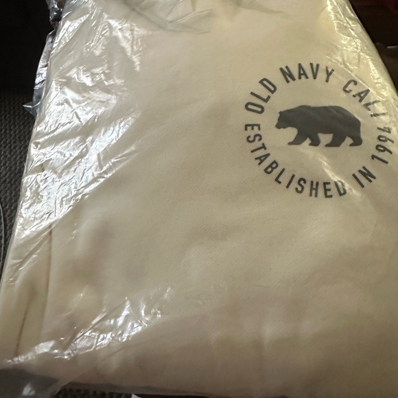 NWT OLD NAVY Logo-Graphic Pullover Hoodie COLOR SEASALT SIZE XL - Picture 1 of 9